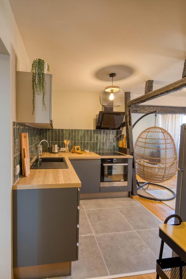 Appartement Le Verdoyant Hyper Centre Avec Sauna Et Parking Colmar Exterior photo