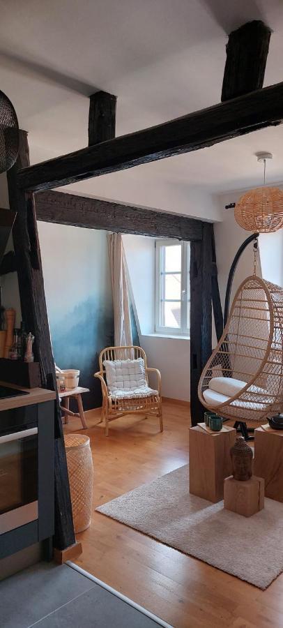 Appartement Le Verdoyant Hyper Centre Avec Sauna Et Parking Colmar Exterior photo